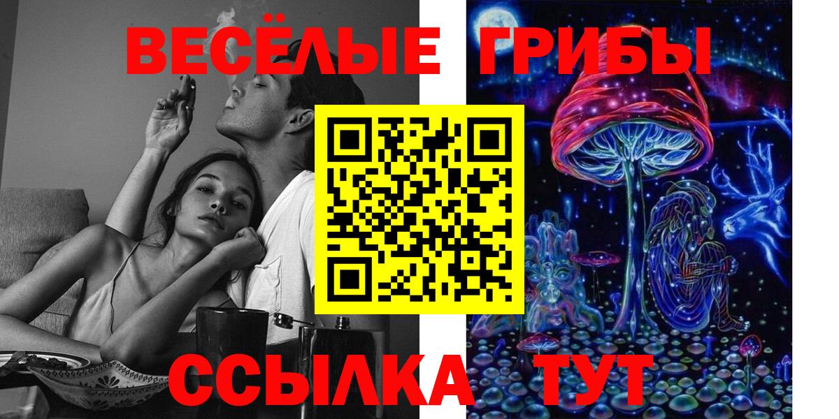 Псилоцибиновые грибы GOLDEN TEACHER Комсомольск-на-Амуре