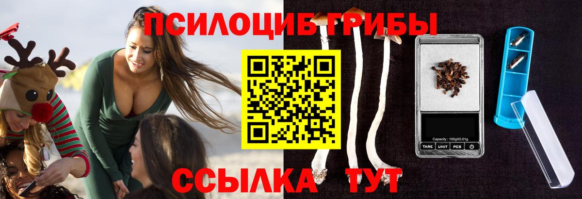 Комсомольск-на-Амуре  Галлюциногенные грибы мицелий  Вход с VPN 